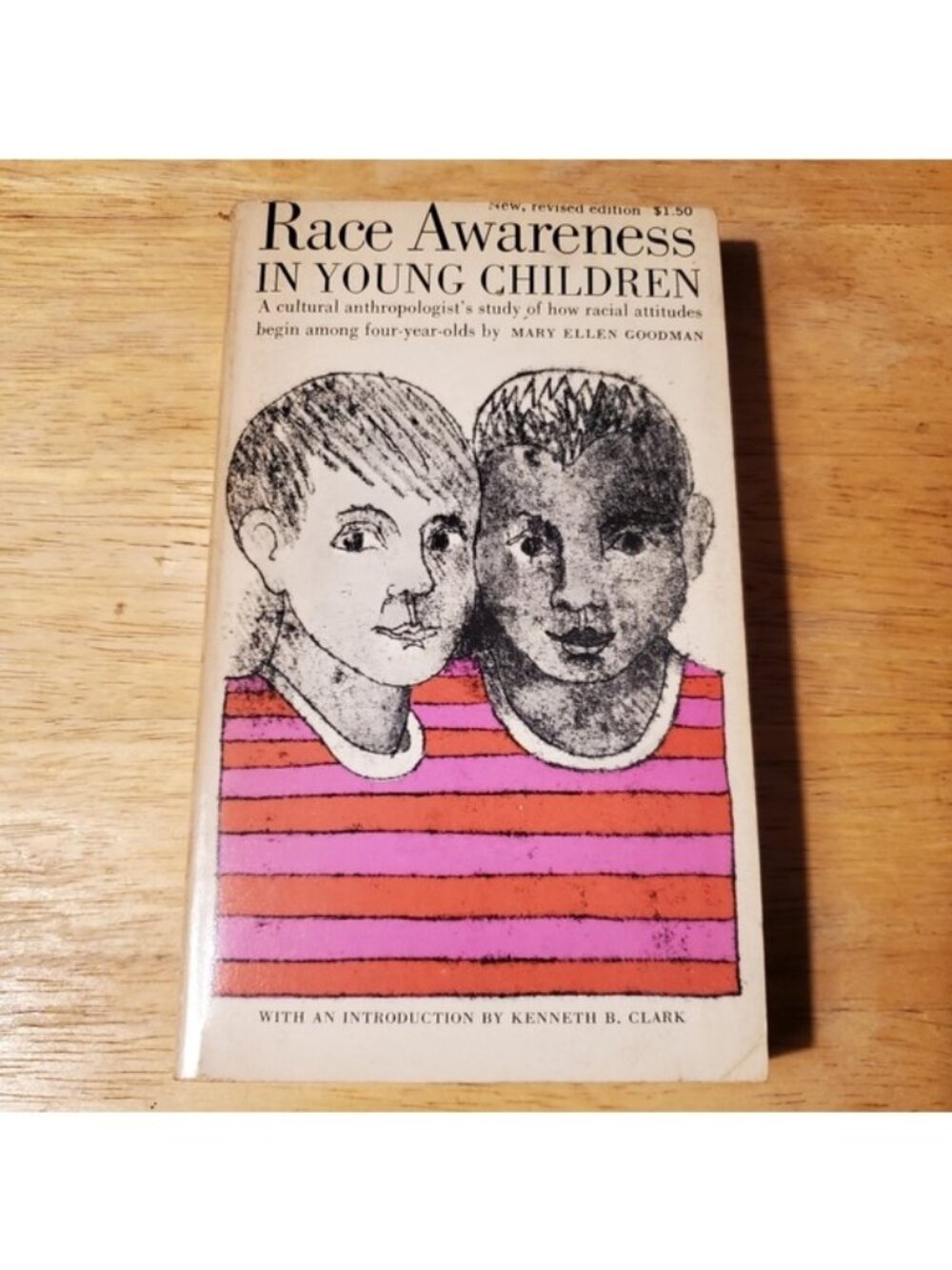 Race Awareness in Young Children Book